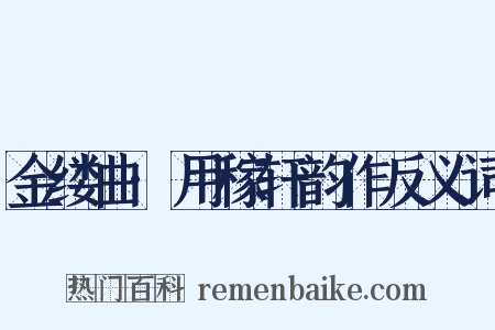 金缕曲·用稼轩韵作反义词是什么意思的图片